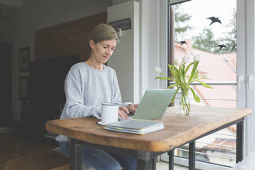 Mature woman working from home, using laptop - ASCF01225