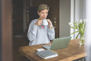 Reife Frau, die von zu Hause aus arbeitet, Laptop benutzt und Tee trinkt - ASCF01242