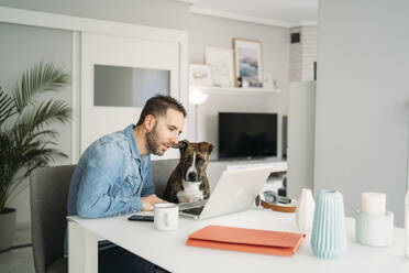 Man sitting by dog while working from home during coronavirus pandemic outbreak, Almeria, Spain, Europe - MPPF00850
