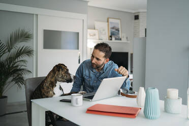 Man looking at dog while working from home on laptop during coronavirus pandemic outbreak, Almeria, Spain, Europe - MPPF00851