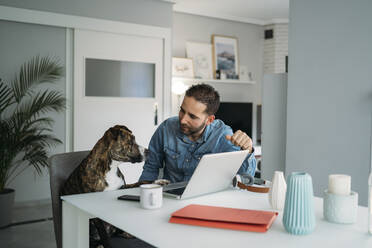 Mann sieht seinen Hund an, während er während des Ausbruchs der Coronavirus-Pandemie von zu Hause aus am Laptop arbeitet, Almeria, Spanien, Europa - MPPF00851