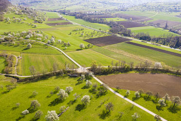 Germany, Baden-Wurttemberg, Weilheim an der Teck, Drone view of vast green countryside in spring - WDF05959