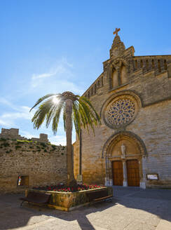 Spanien, Balearische Inseln, Mallorca, Alcudia, Palme und leere Bank vor der Kirche Saint Jaume - SIEF09768