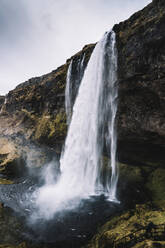Island, Seljalandsfoss-Wasserfall, der die Klippe hinunterplätschert - DAMF00370