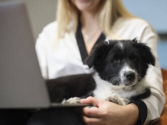Close-up of businesswoman with dog using laptop - CVF01581