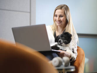 Businesswoman with dog sitting in armchair using laptop - CVF01582