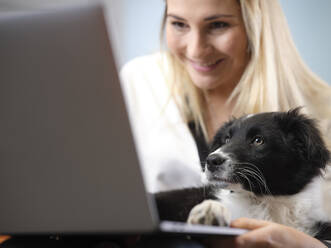 Smiling businesswoman with dog using laptop - CVF01584