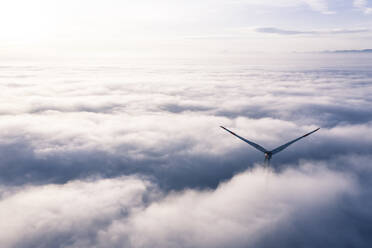 Germany, Aerial view of wind turbine shrouded in clouds at dawn - WFF00327