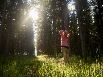 Woman on a forest glade in backlight, Swellendam, South Africa - VEGF01924