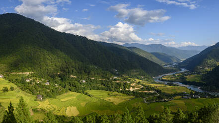 Bhutan, Dorf Yepaisa, Dorf und Terrassenfelder in einem bewaldeten Bergtal - TOVF00179