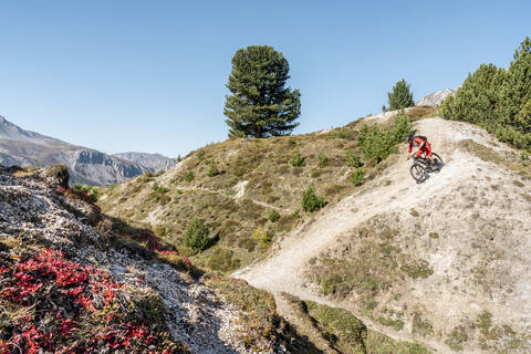 Mann fährt mit dem Mountainbike, Münstertal, Graubünden, Schweiz, lizenzfreies Stockfoto