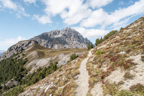 Wanderweg mit Bergpanorama, Münstertal, Ofenpass, Graubünden, Schweiz - HBIF00112