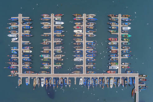 Portugal, Aveiro, Drone view of boats moored in marina - RPSF00280