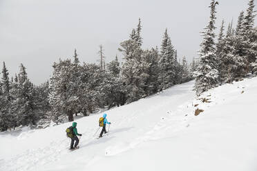 Schneeschuhwanderer wandern auf schneebedeckter Straße zum Squaw Mountain Lookout, Colorado - CAVF79081