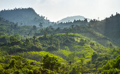 Üppig grüne Dschungellandschaft am Ho-Chi-Minh-Highway West, Vietnam - CAVF79122