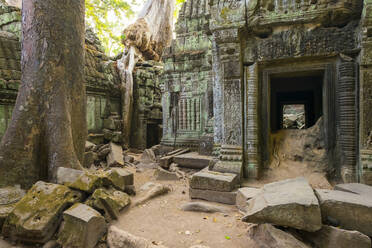 Ta-Prohm-Tempel (Rajavihara), Siem Reap, Kambodscha - CAVF79140