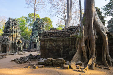Ta-Prohm-Tempel (Rajavihara), Siem Reap, Kambodscha - CAVF79141