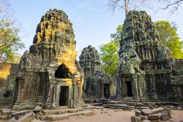 Ta Prohm temple (Rajavihara), Siem Reap, Cambodia - CAVF79142