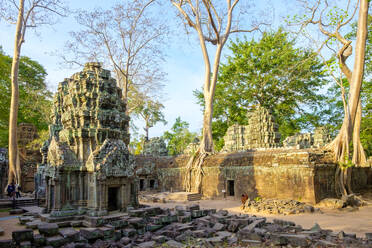 Ta Prohm Tempelruinen, Angkor, Siem Reap Kambodscha - CAVF79160