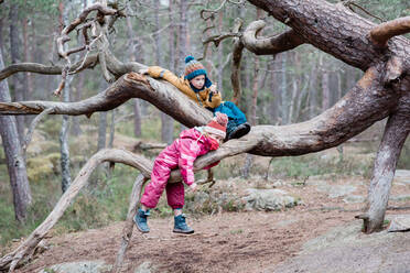 Brother and sister climbing trees together outside in Sweden - CAVF79214