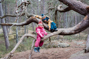 Zwei Kinder klettern draußen in Schweden im Winter auf Bäume - CAVF79215