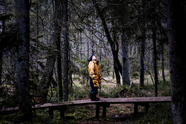 Young boy standing on a boardwalk in the middle of a forest looking up - CAVF79225