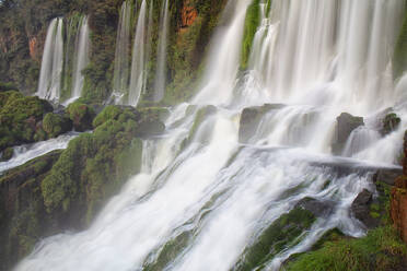 Iguazu-Fälle, Iguazu-Nationalpark, Argentinien - DSGF01979