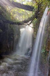 Wasserfall in der Nähe der Stadt Presidente Figueiredo, Amazonasgebiet, Brasilien - DSGF01992