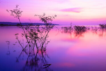 Fantastischer Sonnenuntergang mit Sonnenuntergang über dem Horizont im Amazonasbecken, Manaus, Brasilien - DSGF01993