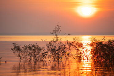 Fantastischer Sonnenuntergang mit Sonnenuntergang über dem Horizont im Amazonasbecken, Manaus, Brasilien - DSGF01995