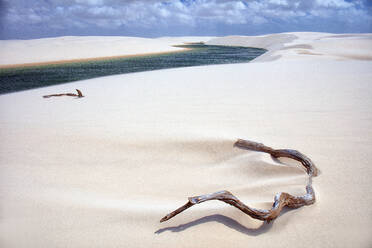 Totholz und Regenwasserlagunen in weißen Dünen, Nationalpark Lencois Maranhenses, Brasilien - DSGF01997