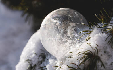 Close up of frozen soap bubble in snow covered tree on a winter's day. - CAVF79331