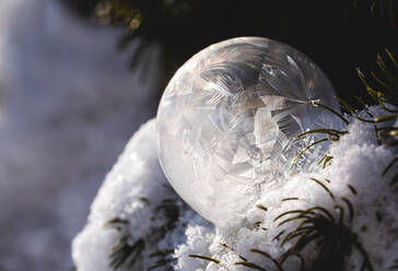 Frozen soap bubble in a snow covered tree on a winter's day. - CAVF79333