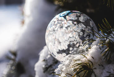 Eine Seifenblase, die an einem Wintertag in einem verschneiten Baum gefriert. - CAVF79334