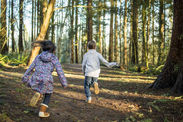 Rückansicht eines Jungen und eines Mädchens, die durch den Wald laufen. - CAVF79355