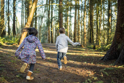 Rückansicht eines Jungen und eines Mädchens, die durch den Wald laufen. - CAVF79355