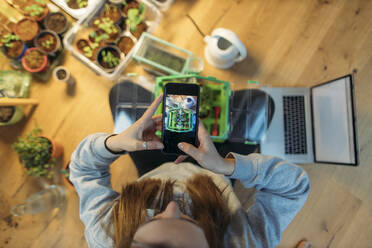Young woman taking smartphone picture of plants on wooden floor - GUSF03545