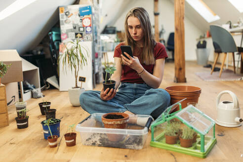 Junge Frau, die mit ihrem Smartphone ein Foto von Pflanzen auf einem Holzboden macht - GUSF03561