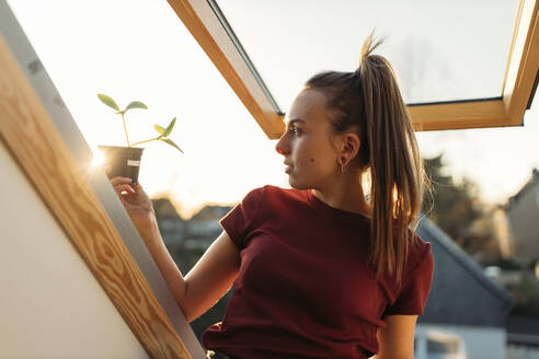 Junge Frau hält Topfpflanze am Fenster im Gegenlicht - GUSF03572