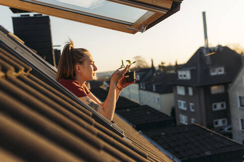 Young woman holding potted plant at the window in the evening - GUSF03574