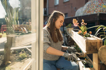 Junge Frau arbeitet im Garten bei Sonnenschein - GUSF03605
