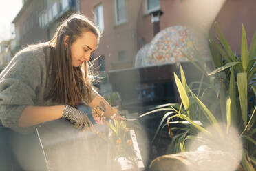 Junge Frau arbeitet im Garten bei Sonnenschein - GUSF03609