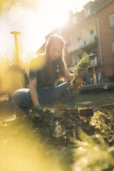 Young woman harvesting celeriac in garden - GUSF03632