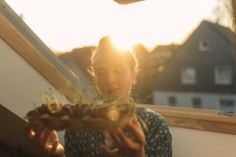Young woman holding spinach plant at the window in backlight stock photo