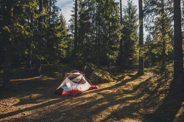 Zelt im Wald, in dem eine Person in einem Schlafsack schläft - GUSF03689