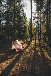 Zelt im Wald, in dem eine Person in einem Schlafsack schläft - GUSF03691