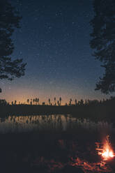 Sternenhimmel über Bäumen in Sodermanland, Nykoping, Schweden - GUSF03695