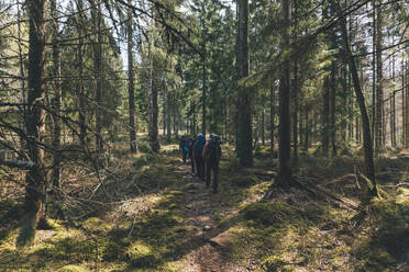 Young people hiking in forest, Sormlandsleden, Sweden - GUSF03717