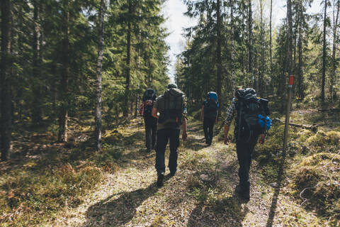 Junge Leute beim Wandern im Wald, Sormlandsleden, Schweden, lizenzfreies Stockfoto