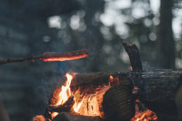 Würstchen am Spieß über dem Lagerfeuer gebraten - GUSF03770